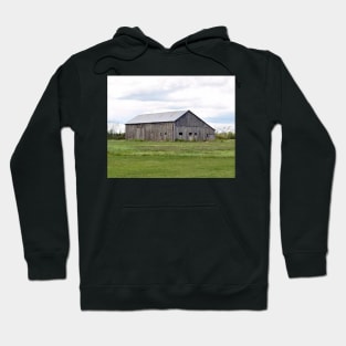 Meadow - Eastern Ontario Hoodie